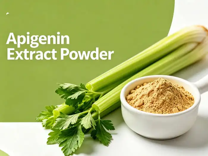 Apigenin Extract Benefits: A Complete Guide to Its Natural Advantages